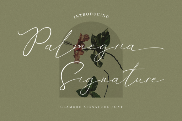 Palmegria: A Font That Transforms a Brand Mood